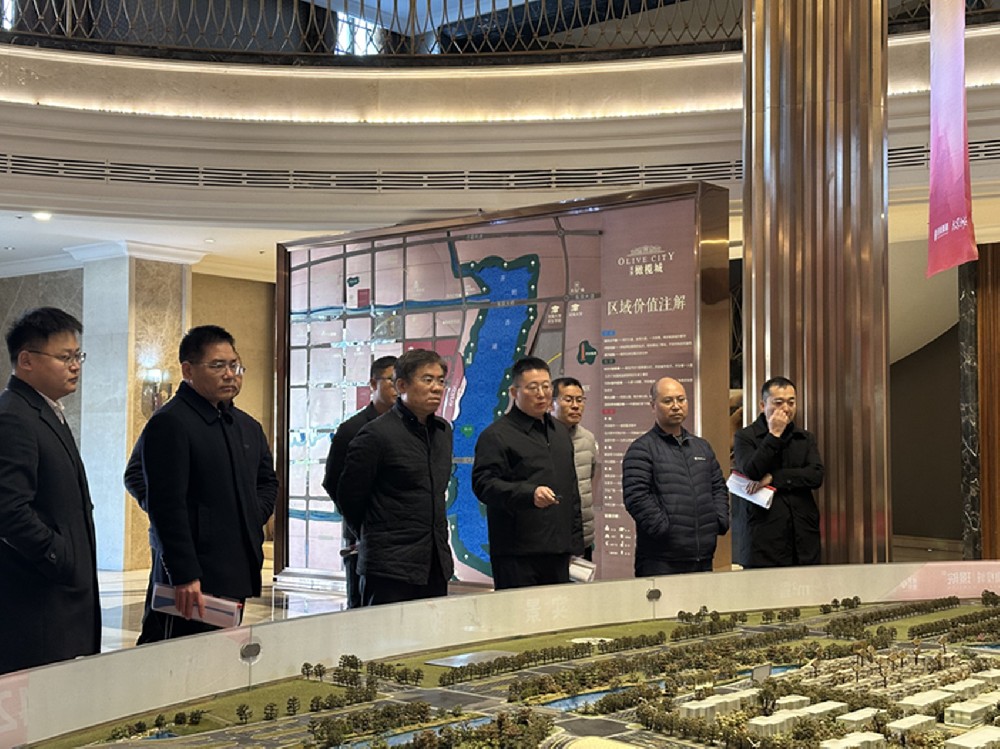 党委书记、董事长汪洋调研开封项目并指导经营发展工作